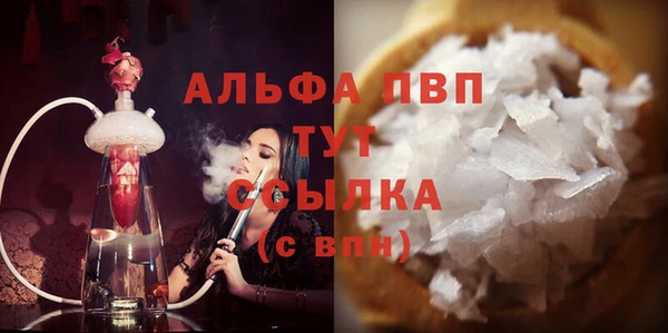 шишки Беломорск