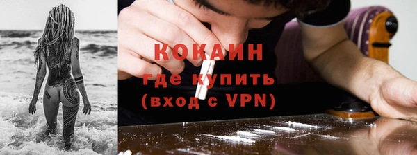 ГАЛЛЮЦИНОГЕННЫЕ ГРИБЫ Белокуриха