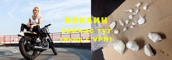шишки Беломорск