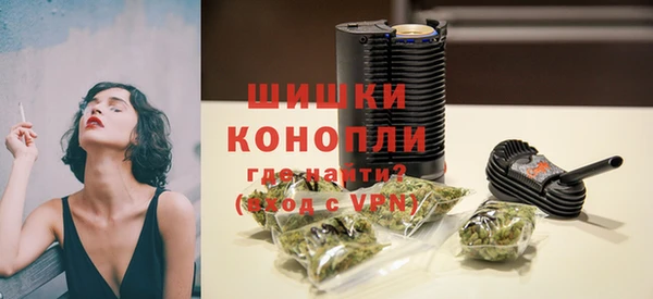 ГАЛЛЮЦИНОГЕННЫЕ ГРИБЫ Белокуриха
