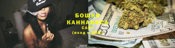 ГАЛЛЮЦИНОГЕННЫЕ ГРИБЫ Белокуриха