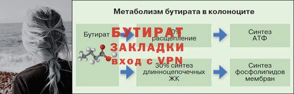 шишки Беломорск
