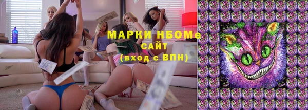 шишки Беломорск