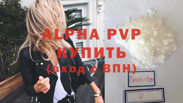 ГАЛЛЮЦИНОГЕННЫЕ ГРИБЫ Белокуриха