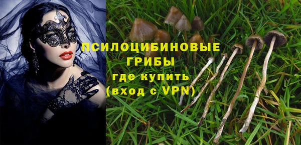 ГАЛЛЮЦИНОГЕННЫЕ ГРИБЫ Белокуриха